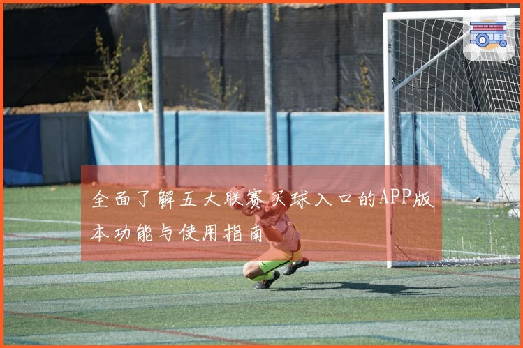 全面了解五大联赛买球入口的APP版本功能与使用指南