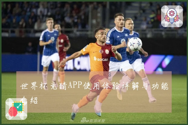 世界杯竞猜APP使用体验详解与功能介绍
