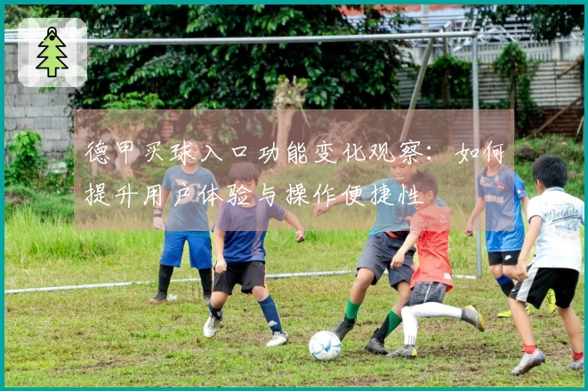 德甲买球入口功能变化观察：如何提升用户体验与操作便捷性