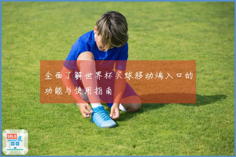 全面了解世界杯买球移动端入口的功能与使用指南