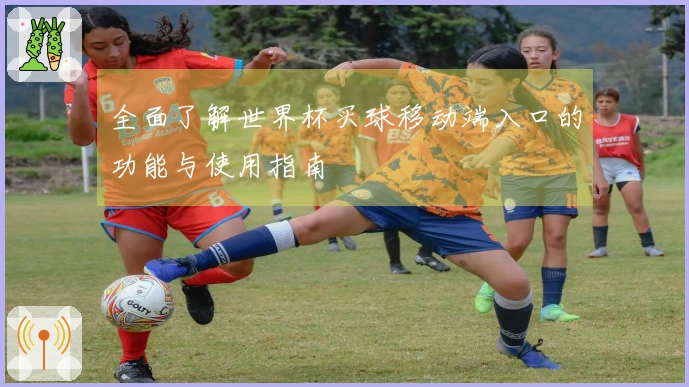 全面了解世界杯买球移动端入口的功能与使用指南