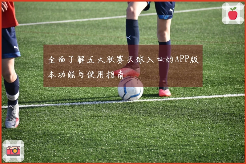 全面了解五大联赛买球入口的APP版本功能与使用指南