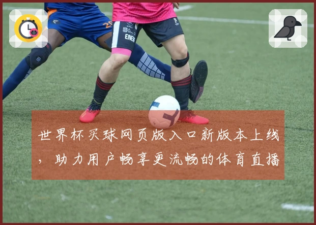 世界杯买球网页版入口新版本上线，助力用户畅享更流畅的体育直播体验