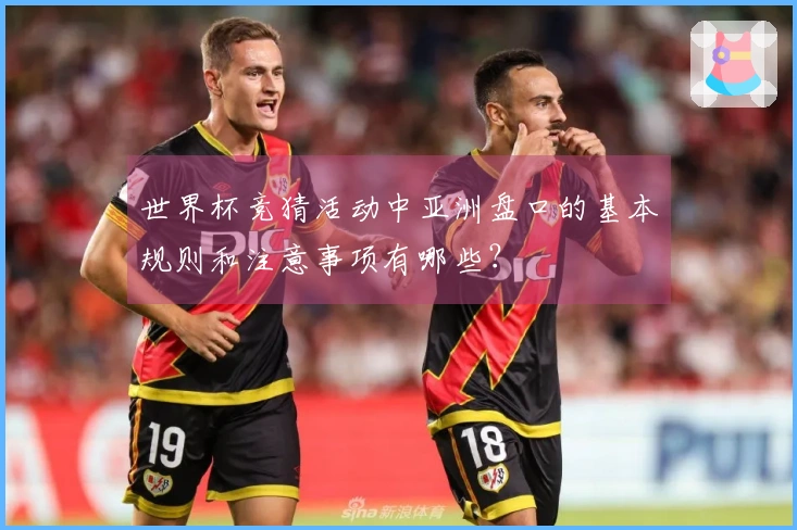 世界杯竞猜活动中亚洲盘口的基本规则和注意事项有哪些?
