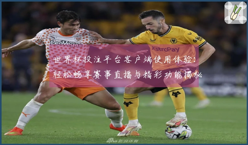 世界杯投注平台客户端使用体验：轻松畅享赛事直播与精彩功能揭秘