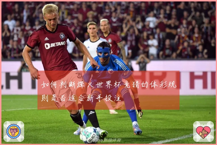 如何判断烽火世界杯竞猜的体彩规则是否适合新手投注